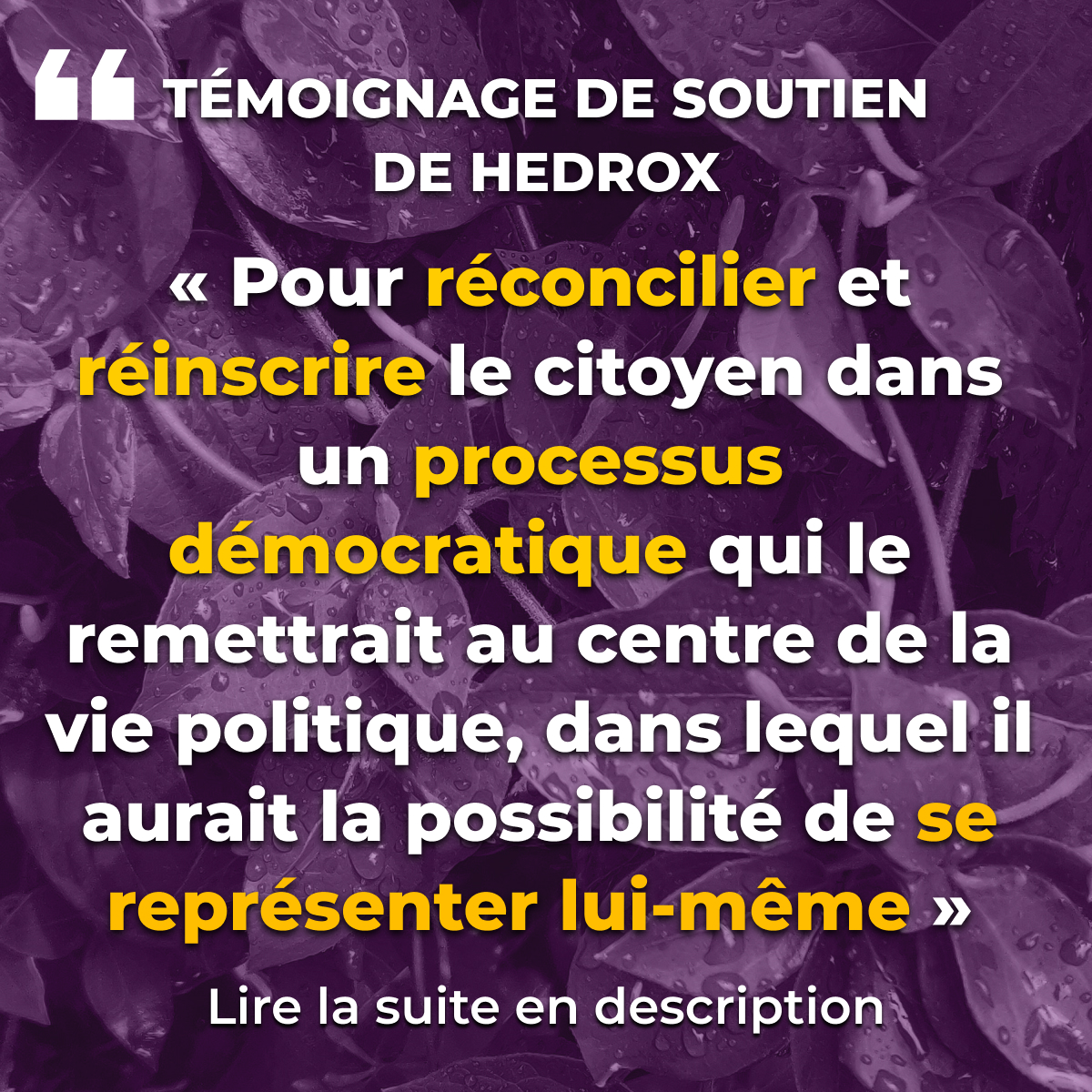 « Pour réconcilier et réinscrire le citoyen dans un processus démocratique qui le remettrait au centre de la vie politique, dans lequel il aurait la possibilité de se représenter lui-même »