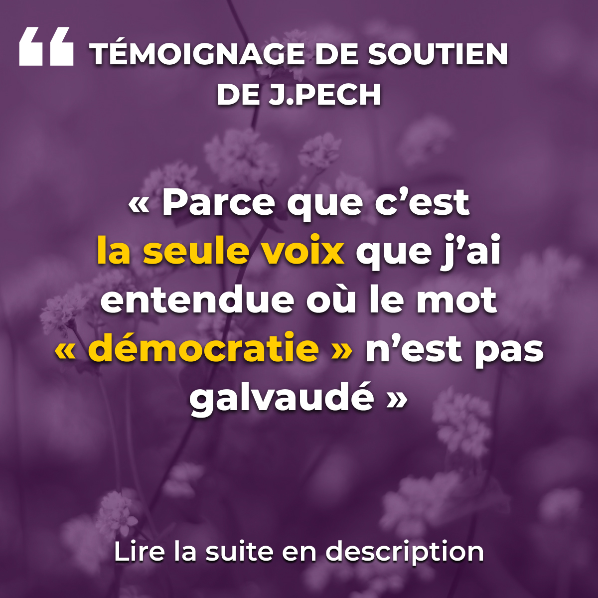 « Parce que c’est la seule voix que j’ai entendue où le mot « démocratie » n’est pas galvaudé »