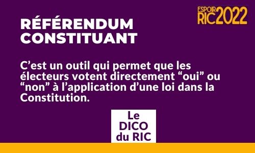 Couverture de l'article sur le referendum constituant d'Espoir RIC 2022
