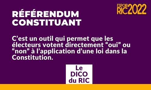 [Dico] Référendum constituant : notre définition