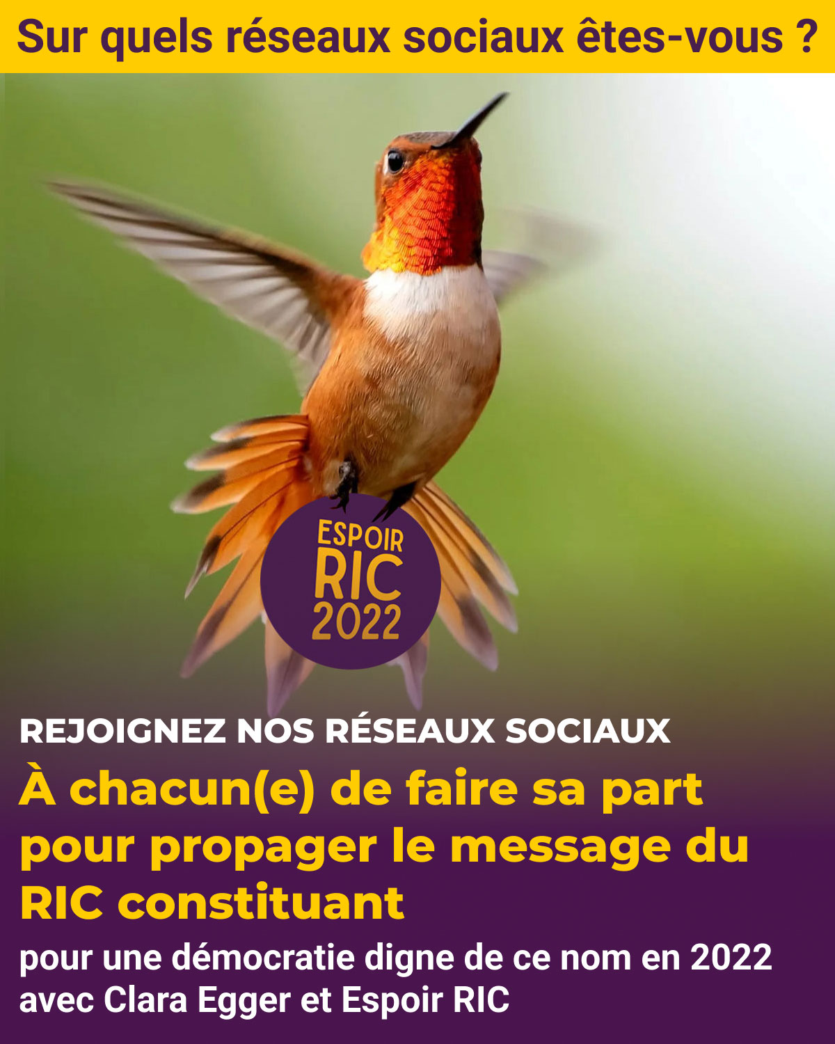 Sur quels réseaux sociaux êtes-vous pour défendre le RIC constituant ?