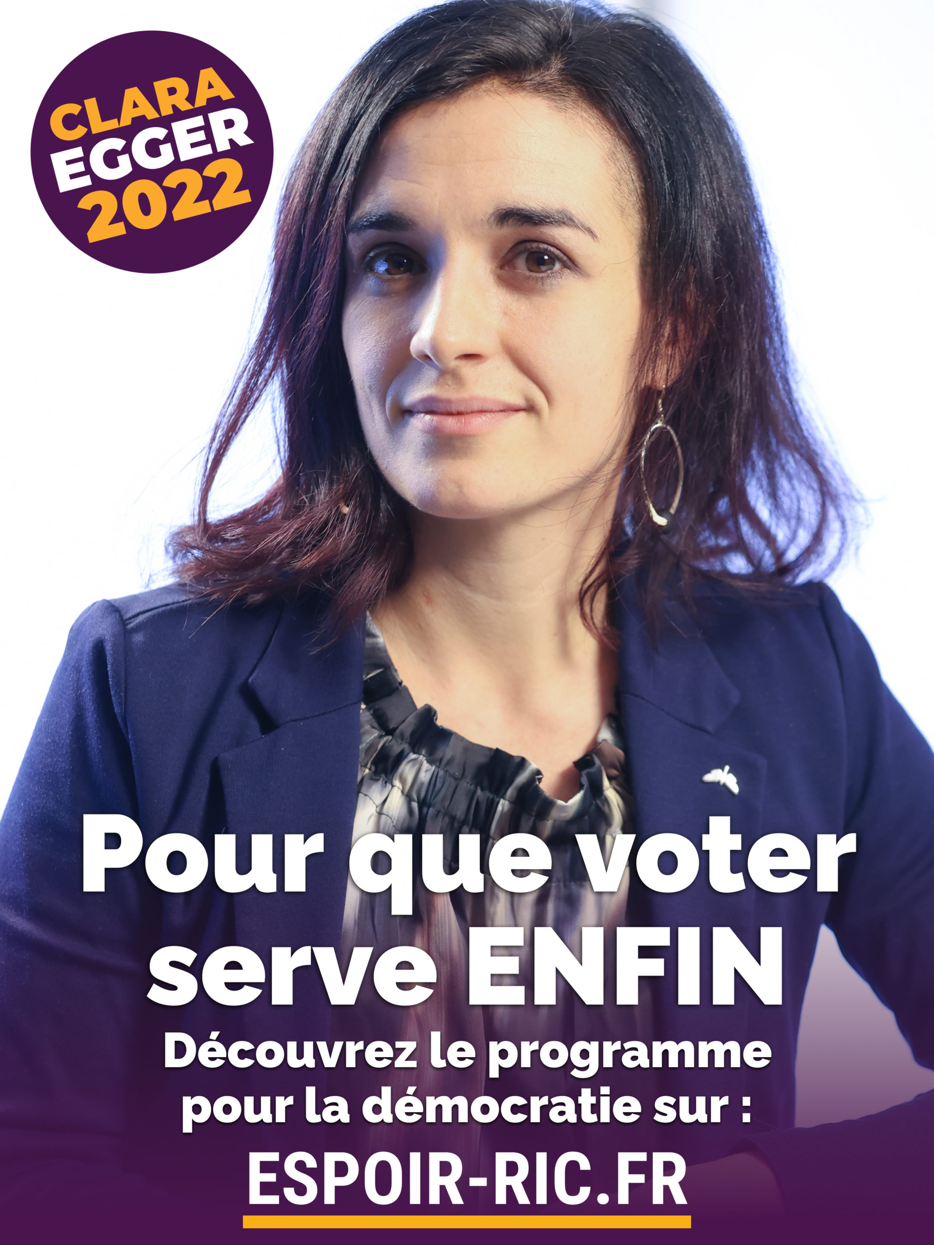 3 affiches à coller pour le RIC constituant et Clara Egger