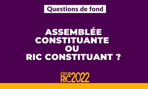 Assemblée constituante ou RIC constituant ?