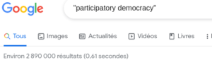 participatory democracy