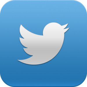 twitter logo icon app 296994